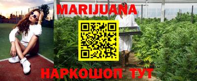 сатива Бийск