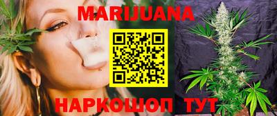 сатива Бийск