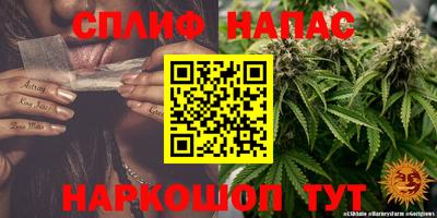 сатива Бийск