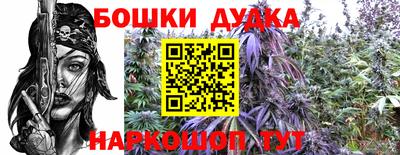 круглые Кингисепп