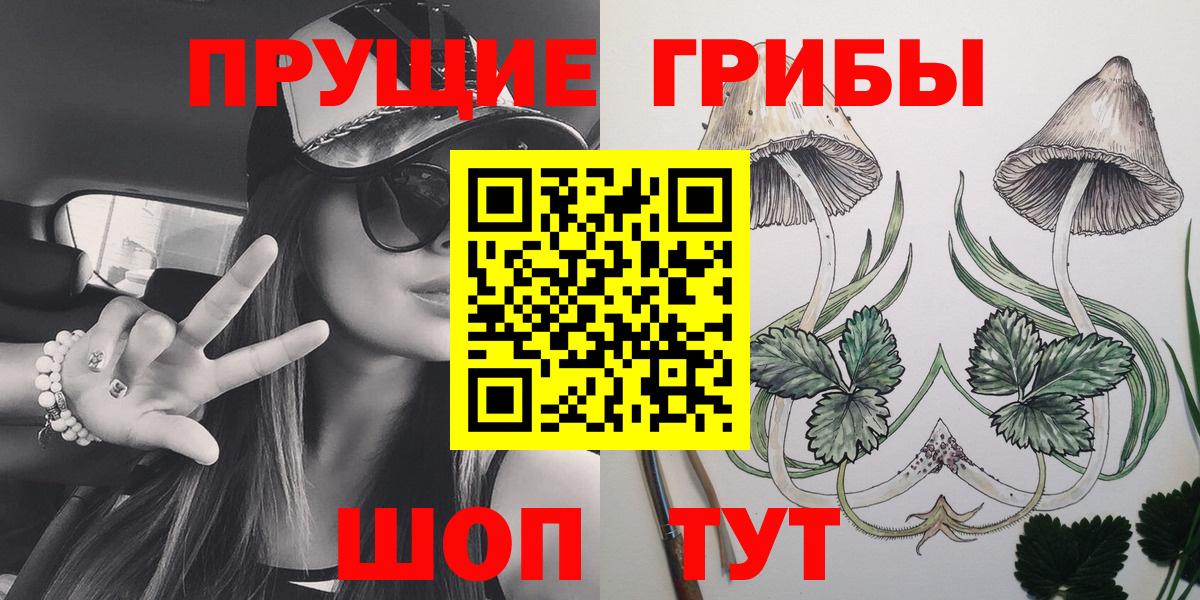 Череповец  Галлюциногенные грибы Psilocybine cubensis  Вход с VPN 