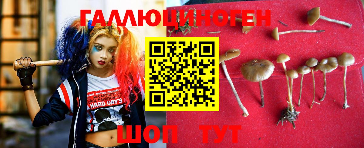 Псилоцибиновые грибы мицелий  Череповец 