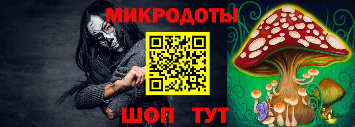 Псилоцибиновые грибы прущие грибы Череповец