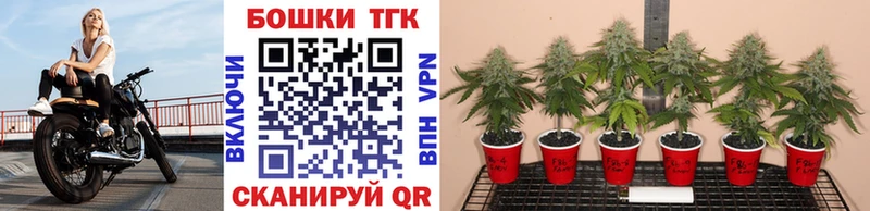 Конопля индика Череповец